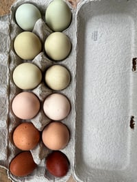 Rainbow Eggs