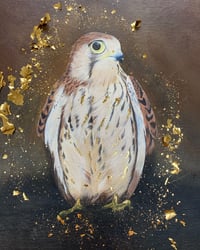 Kestrel 