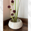 Ikebana Flower Bowl