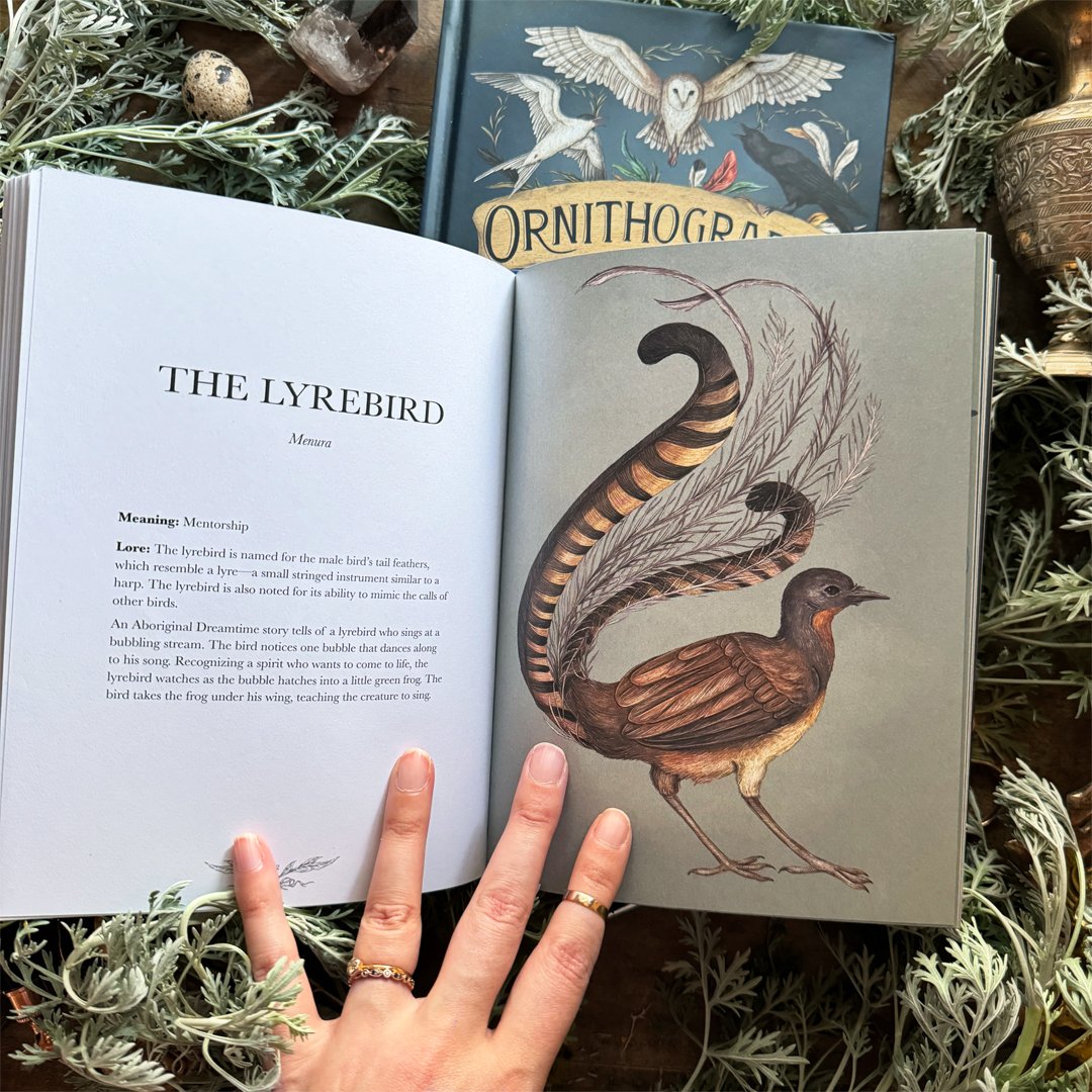 Image of Ornithography: An Illustrated Guide to Bird Lore & Symbolism (Signed Copy)