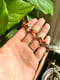 Image of Carnelian, Moonstone, & Pyrite Bracelet