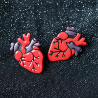 Anatomical Heart Hoops