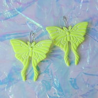 Fluorescent Yellow Luna Moths