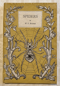 Image 1 of Spiders A vintage King Penguin book