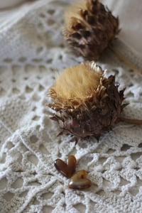 Image 3 of MARCELLE - L'audacieuse