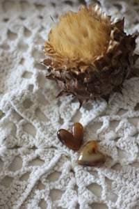 Image 4 of MARCELLE - L'audacieuse