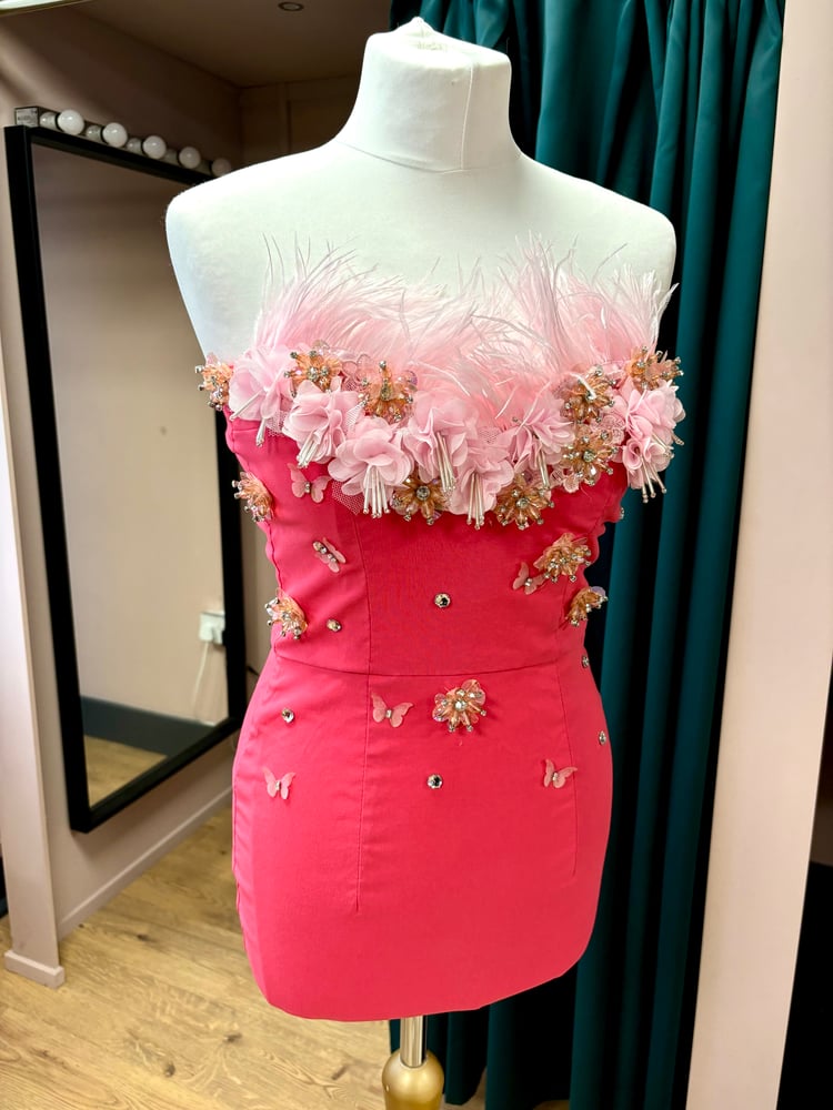 Image of Pink feather dress