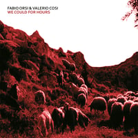 Fabio Orsi & Valerio Cosi - We Could For Hours CD