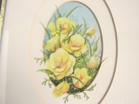 Image 2 of Vintage Small Watercolour Painting, Yellow Flowers, Signed, Framed Size 14 x 10 5/8 ins