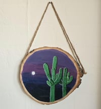 Cactus Dreams 