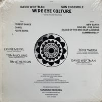 Image 2 of David Wertman, Sun Ensemble – Wide Eye Culture (Sunmuse Records – SUN 401 - US - 1983)