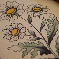 Image 3 of Feverfew