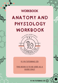 Anatomy & Physiology Workbook - Digital PDF