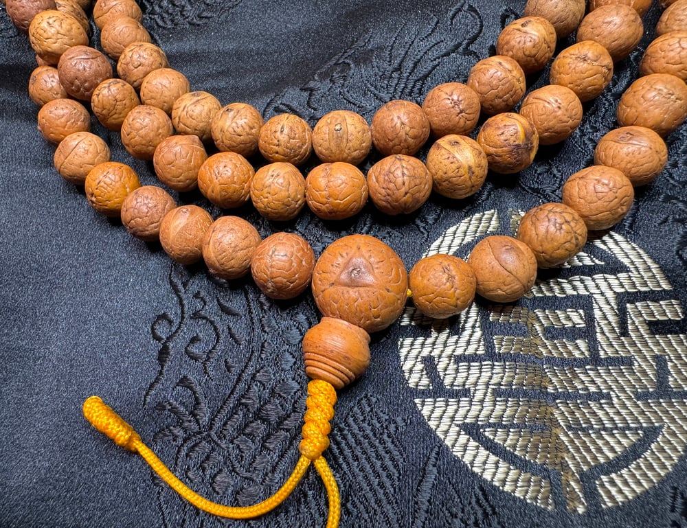 Image of Authentic Timal Bodhi Seed Mala • 108 beads • 10.5mm to 11.5mm • Rare Locality