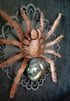 Framed tarantula with labradorite abdomen Image 2