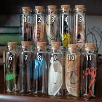 Image 2 of Butterfly wing vial