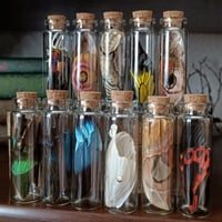 Image 1 of Butterfly wing vial