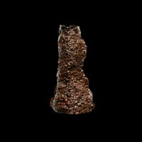 Brown Vase [NNIM Shop]