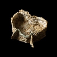Image 1 of Wing Container 01 [NNIM Shop]
