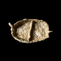 Image 2 of Wing Container 02 [NNIM Shop]