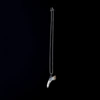 Image 2 of Seashell Necklace 01 [Liam Ramirez]