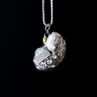 Image 1 of Seashell Necklace 02 [Liam Ramirez]