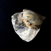 Image 2 of Seashell Incense Holder 02 [Liam Ramirez]