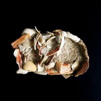 Image 1 of Object 06 [Liam Ramirez x NNIM Shop]