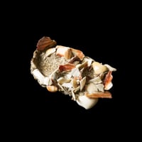 Image 2 of Object 06 [Liam Ramirez x NNIM Shop]