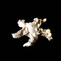 Image 1 of Object 08 [Liam Ramirez x NNIM Shop]