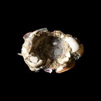 Image 2 of Object 09 [Liam Ramirez x NNIM Shop]