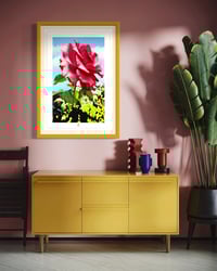 Image 2 of BIG RED ROSE (36X24)