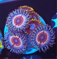 Image 1 of Mixed Zoas #7