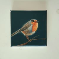Image 1 of Robin