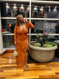 Image 5 of Orange Blossom