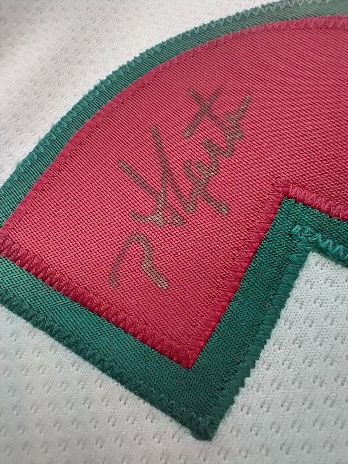 1996-98 Phoenix Coyotes NHL Authentic Starter Ice Hockey