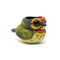 Image 4 of Kotori Ochoko: Coppersmith Barbet