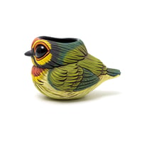 Image 1 of Kotori Ochoko: Coppersmith Barbet