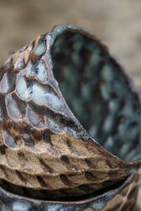 Image 3 of Cacao Cups – Amazonia