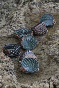 Image 4 of Cacao Cups – Amazonia
