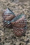 Image of Cacao Cups – Amazonia