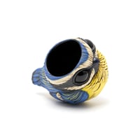 Image 6 of Kotori Ochoko: Blue Tit