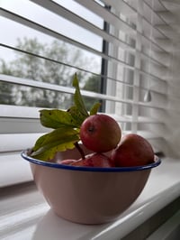 Image 1 of Small Peach Enamel Bowl