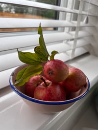 Image 2 of Small Peach Enamel Bowl