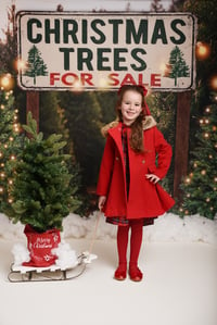  Christmas Mini Sessions Sitting Fee