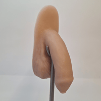 Image 1 of Original Packer - Uncircumcised 