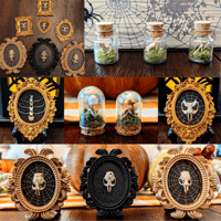 Skull Frame/Jar/Terrarium- Rodent skulls/ribs/spines/bones sealed onto small frames or jars