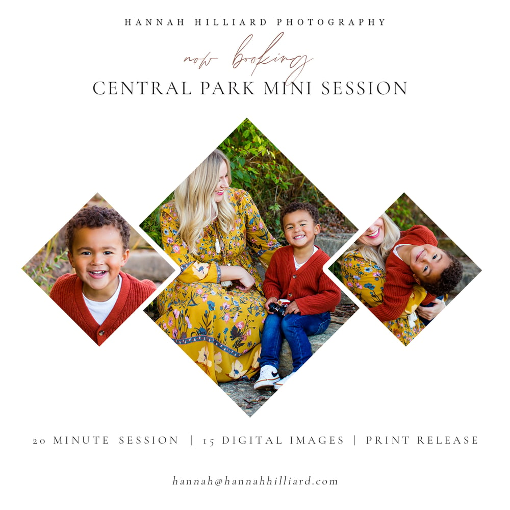 Image of Central Park Mini