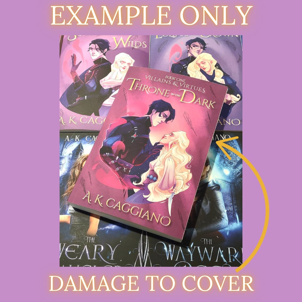 Image of Adopt A Dud - Damaged Paperbacks