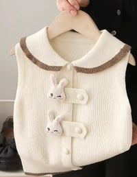 Image 1 of Sweater Vest Bunny